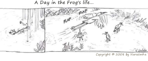 Day in the frog's life